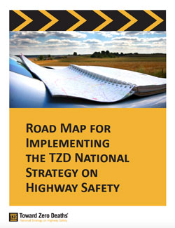 TZD road map cover