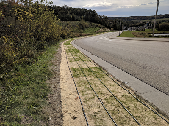 Turfgrass installation on a roadside