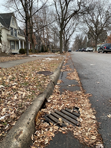 Fallen leaves around a storm drain on a Minneapolis neighborhood street