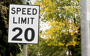 20 mph speed limit sign with trees in the background