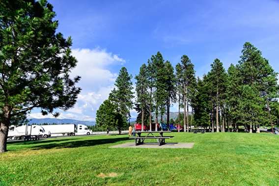 A picnic table and grassy area next to a rest area where semi trucks are parked