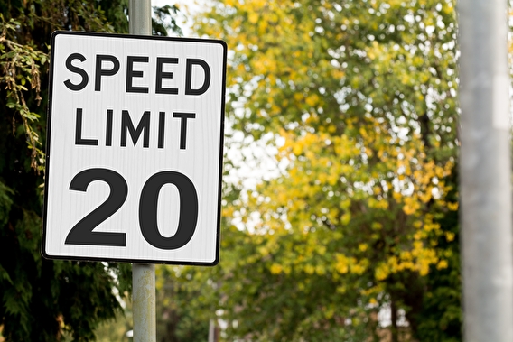 20 mph speed limit sign with trees in the background